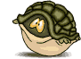 tartaruga oscilla.gif